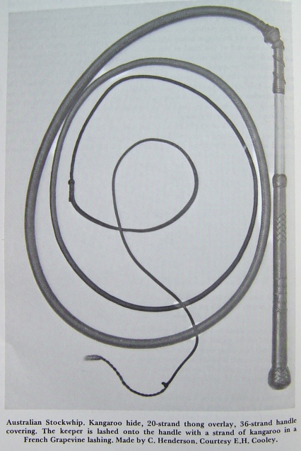 36 Plait Henderson Stockwhip