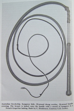 36 Plait Half Plait Stockwhip