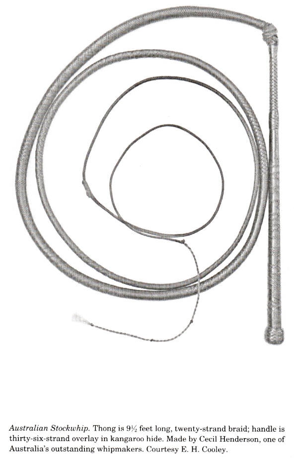 36x20x9 Full Plait Stockwhip