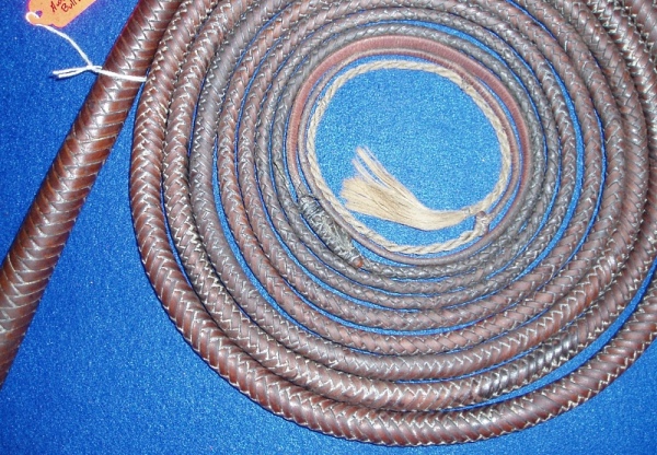 Austral Enterprises Bullwhip