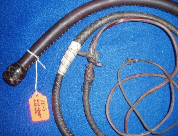 Austral Enterprises Pocket Snake