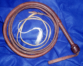 Early Strain Bullwhip