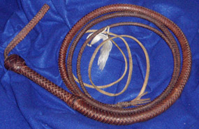 Early Strain Bullwhip 2