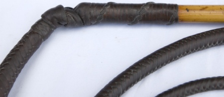 Click on this picture for more details