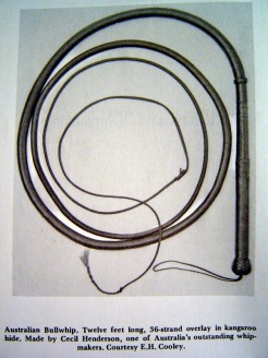 36 Plait 12 foot Bullwhip