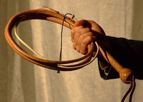 8ft Indiana Jones Bullwhip