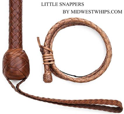 Little
Snapper