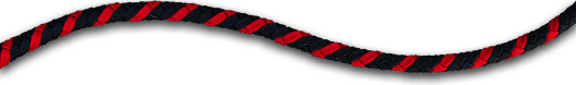Nylon
                                                          Whips Paracord
                                                          Whips from
                                                          MidWestWhips