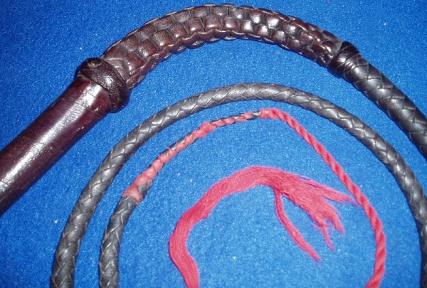 Pakistan Bullwhip