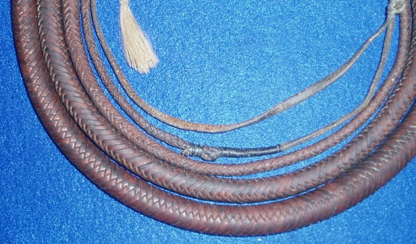 ZE-2: Zairs - 12x12x8’ full plait stockwhip