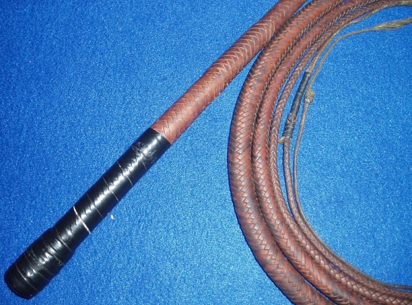 ZE-3: Zairs - 12x12x9’10" full plait stockwhip