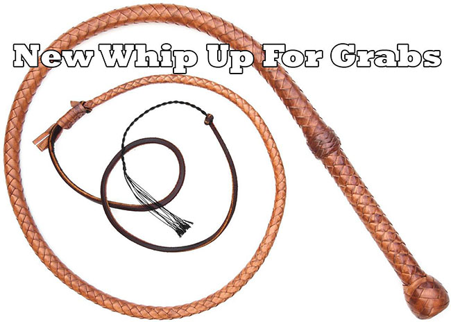 Giveaway Whip