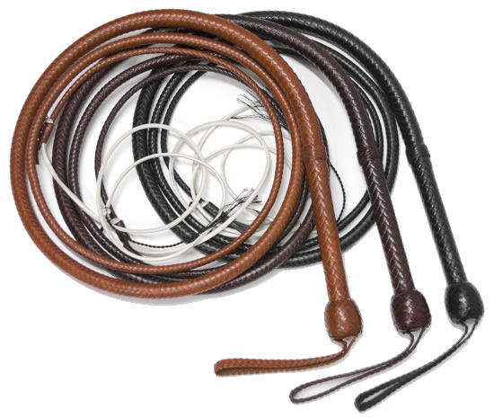 12 Bullwhip Stock whip Snake whip Crackers Poppers Snappers Nylon EXTREMELY LOUD 