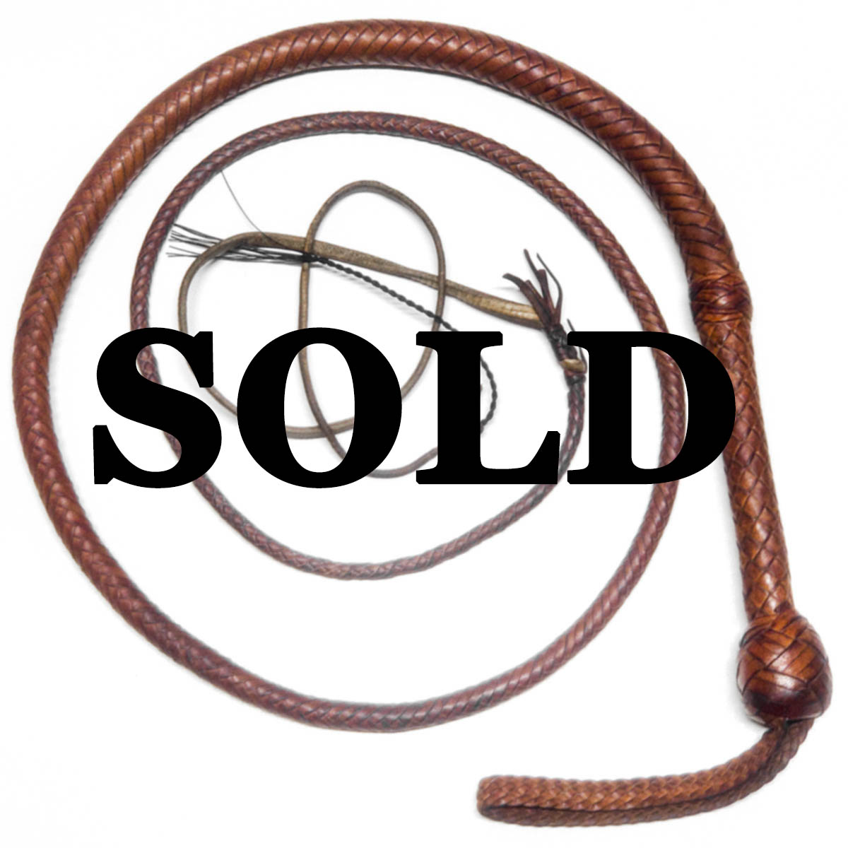 MidWestWhips Whips For Sale In Stock Whips Ready to Ship